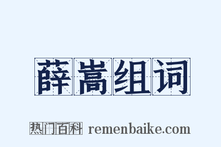 薛嵩组词是什么意思的图片